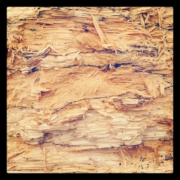 0x0f7: Dřevo / Wood (2)