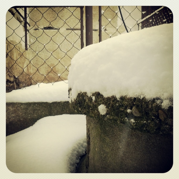 0x0fc: Náhlý sníh / Sudden snow (4)