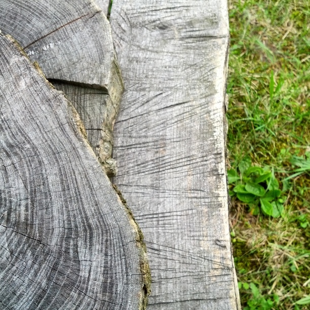 0x332: Dřevo / Wood (9)