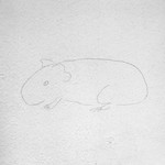 0x1a2: Morčík / Guinea pig (1)